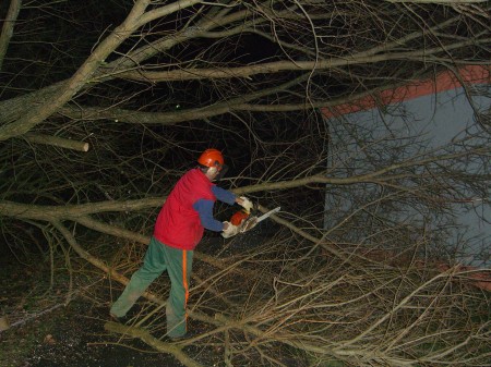 Baum gegen Stihl